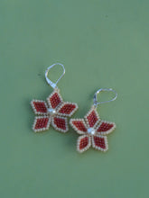 Load image into Gallery viewer, FLOWER- WATERMELON