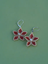 Load image into Gallery viewer, FLOWER- WATERMELON