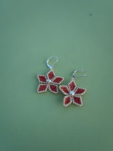 Load image into Gallery viewer, FLOWER- WATERMELON